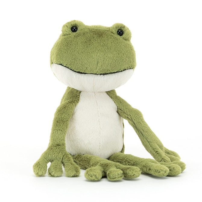 A Fantastic Day For Finnegan Frog Book And Finnegan Frog