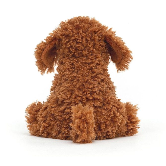 Cooper Labradoodle Dog